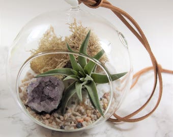 Amethyst air plant terrarium kit:unique gift; tillandsia; unique gift ;terrarium;office decor