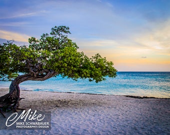 Aruba #1 - Photograph