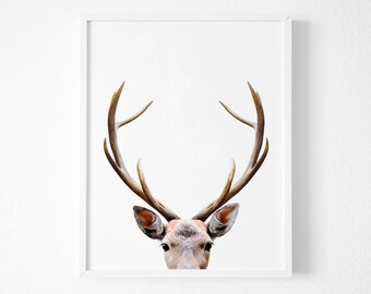 Deer Antlers, Deer Print, Nursery Decor, Gift,Home Decor, Woodland Nursery, Animal Print, Deer Poster, Deer Head, Woodland Animals