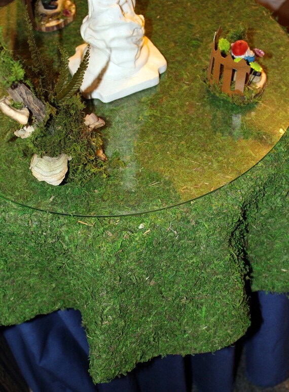 Round Moss Table Cloth Tree Skirt Preserved