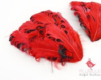 1 pcs - CURLED NAGORIE goose feather pad, red on black