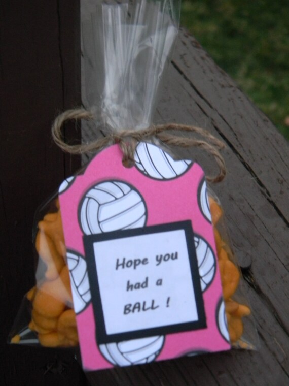 Volleyball goodie bag tags set of 10 with bags Volleyball