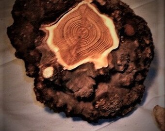MID-SIZE BURLS....Small Cabbage Sizes