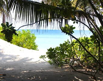 Beach Landscape - Peeking the sea