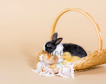 Instant Download - PNG Animal Overlay - bunny - chick - duck - in basket