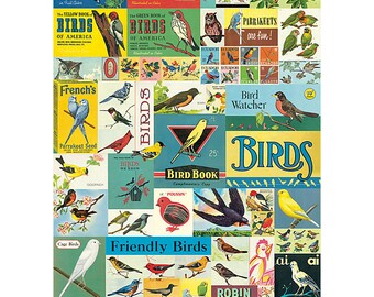 Vintage Birds Wrapping Paper by Cavallini to Frame or Wrapping, Book Binding, Decoupage, Collage, Scrapbooking & Paper Arts PSS 3268