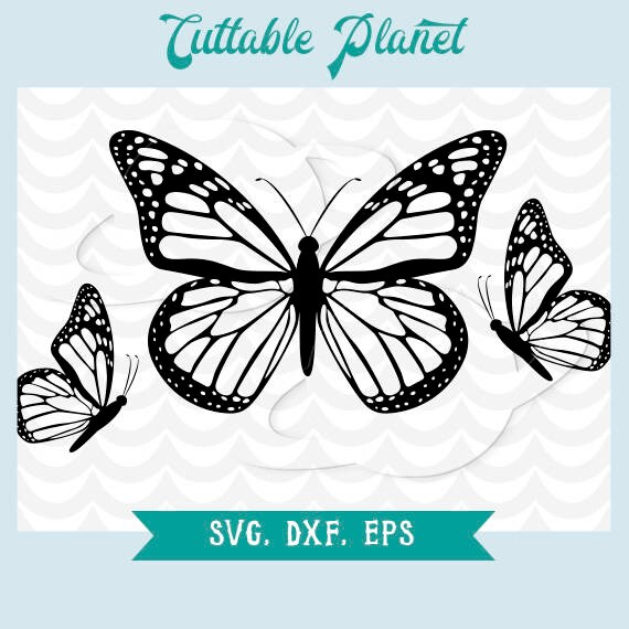 Butterfly svg butterfly eps butterfly dxf butterfly png