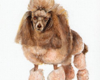 Original Oil Art WHITE POODLE Portrait Painting Dog Artist Signed Artwork Puppy