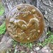 Squirrel Stepping Stone Mold Concrete Cement Mould garden path decorations,Concrete Mold