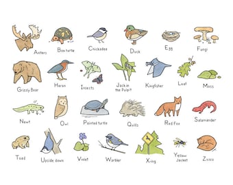Woodland Art Alphabet, Woodland baby shower, Forest Animals Wall Art, Nursery Art Print