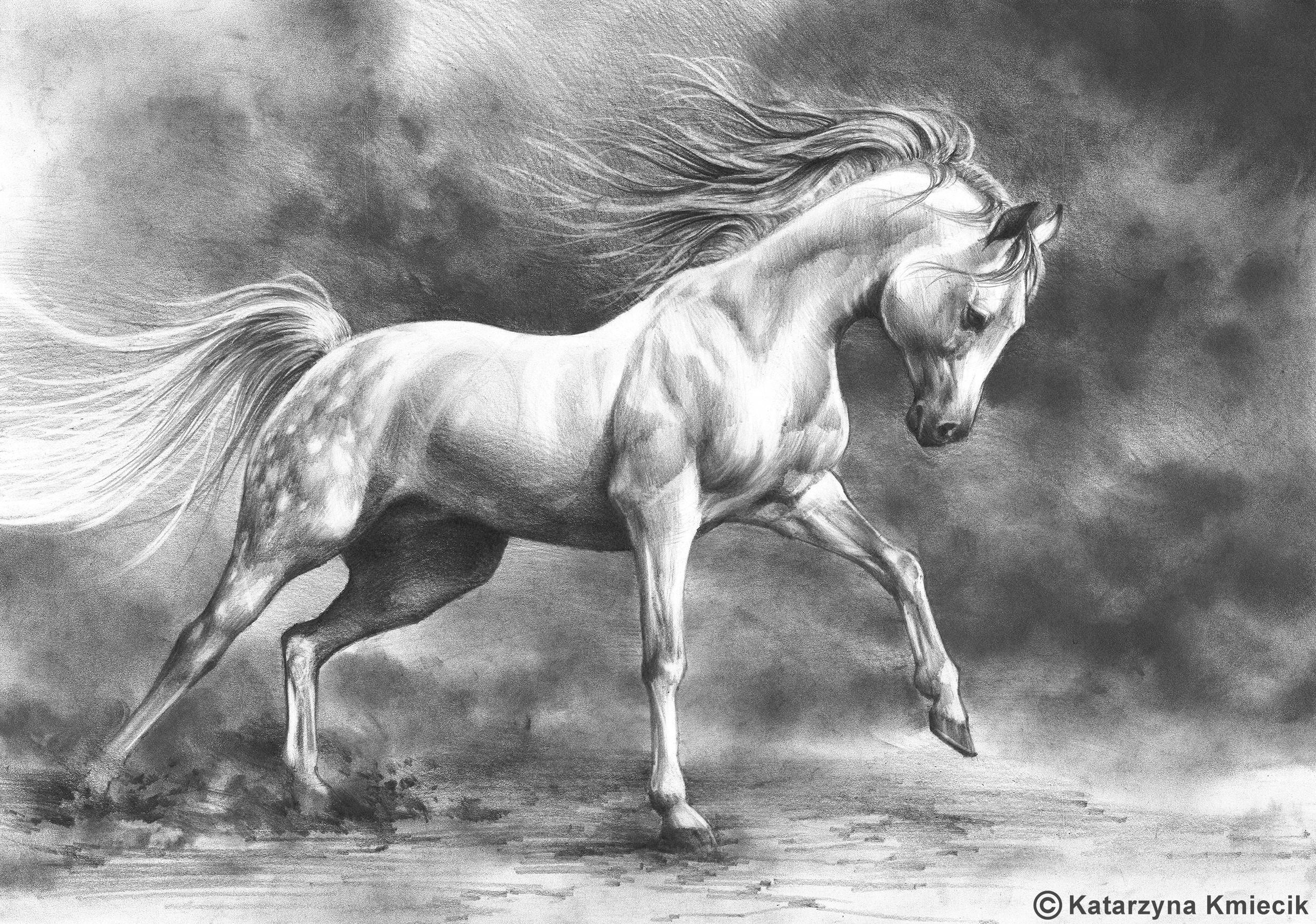 Running Horse Original Drawing White Horse Pencil Drawing