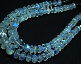 AAA-Blue Fire Rainbow Moonstone Faceted Big Rondelles-7"inches Strand-Stones measure- 6-9mm
