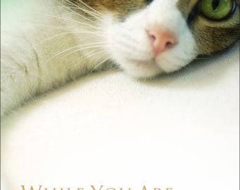 DVD For Cats / While You Are Gone (Cat Video, Video for Kittens and all Felines)