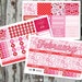 February Monthly Planner Sticker Kit - for use with ERIN CONDREN LIFEPLANNER™