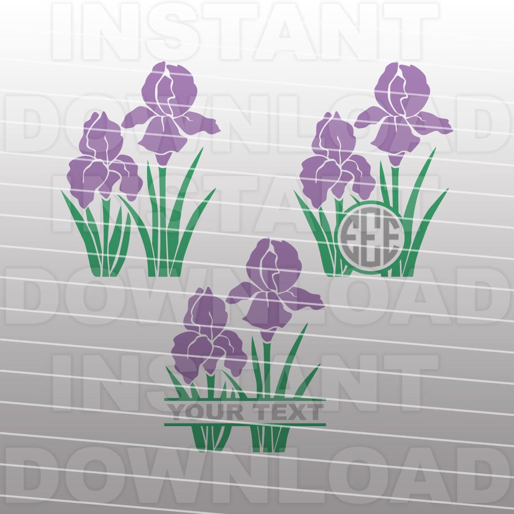 Free Free Iris Flower Svg 524 SVG PNG EPS DXF File