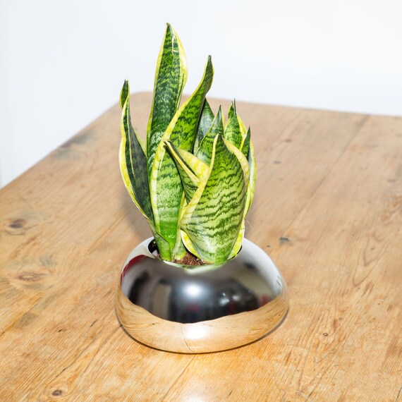 Planter No 120 Mirrored Pebble Plant Pot