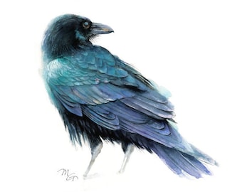 Raven Art Print - Watercolor Giclee Print. Raven Illustration, Crow, Raven. Small Gift Dorm Decor Wall