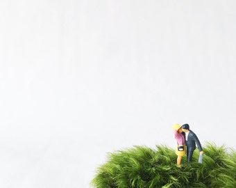 Kissing terrarium figurine // Terrarium Figurines // Moss Terrarium Figurine // Terrarium Accessory // Terrarium Miniatures