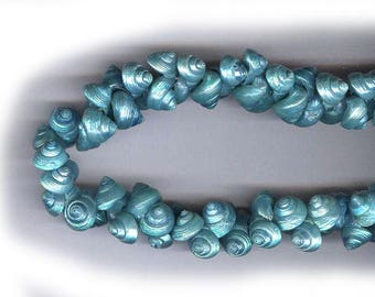 vintage italian SHELL BEADS iridescent electric TURQUOISE color 1950s antique shell beads bridal finding embellishment applique