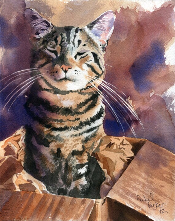 Download Brown Tabby Cat art Print of my watercolor painting Cat in a