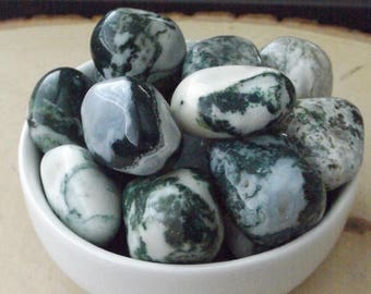 Tree Agate, 2 piece set, Tumbled crystal, Crystal healing, Mother Earth, Grounding stone, Crystal grid, Pocket stone