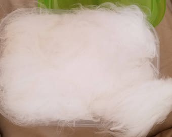 raw 3" staple, clean Giant Angora rabbit wool, ready to card/dye and spin into some yummy yarn!!! sold by the oz.