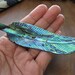 Extra Large (100+ mm) Abalone Feather Pendant, Necklace, Free Drilling just send me message B6431