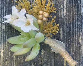 Vanilla Succulent Boutonierre