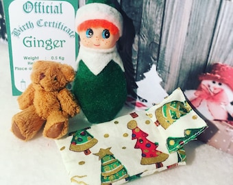 Baby Elf Ginger Doll The Shelf Sitter With Accessories