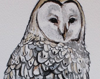 Barn Owl (print) - 8" x 10"