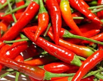 Organic Non-Gmo Thai Dragon Hot Pepper vegetable seeds. Very hot chilies,perfect for thai and Vietnamese cuisine.
