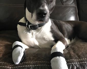 Paw Protectors - Basics