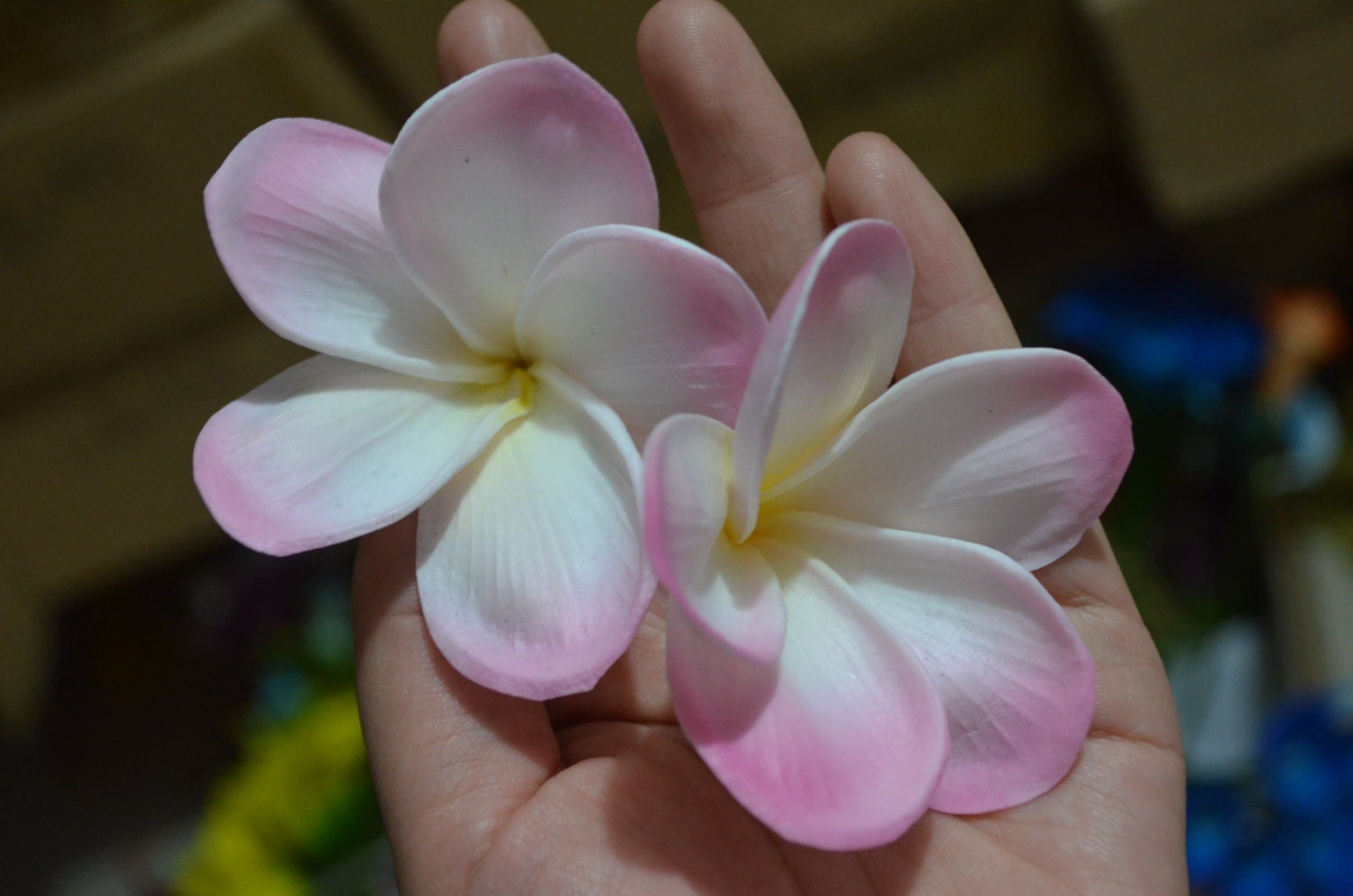 Light Pink Plumerias Real Touch Flowers flower heads DIY cake