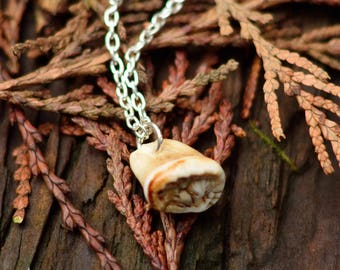 Dog Molar on Silver Chain