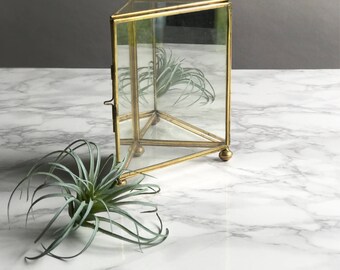 Glass Box / Glass Terrarium / Glass Box Terrarium / Glass Display Box / Triangular Glass Box