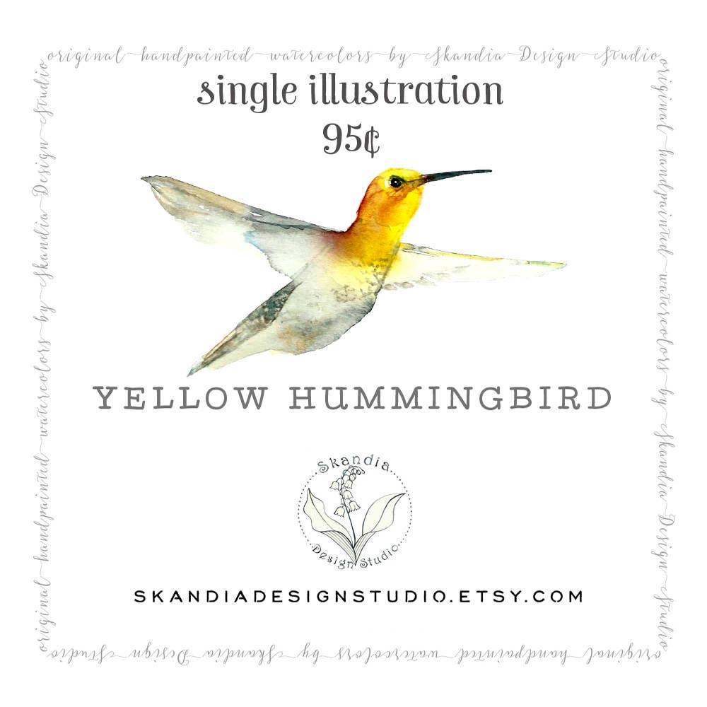 Hummingbird Clipart Handpainted Clipart Watercolor Clipart