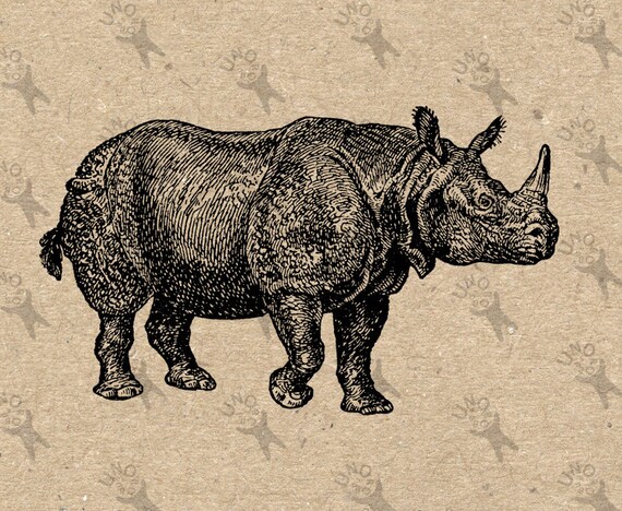 Vintage image Rhino retro drawing Instant Download Digital