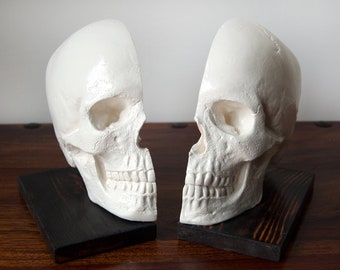 Bookends / Book ends / Skull Decor / Skull Ornament / Book Storage / Human Skull / Skull Bookends / Book Lover Gift