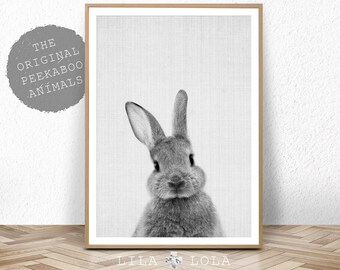 Rabbit Print, Baby Animal Prints, Woodland Nursery Decor, Bunny Wall Art Print, Large Printable Poster, Digital Download, Black and White