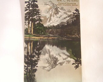 Victorian Trade Card Peters Insurance Port Huron Michigan Advertising USA
