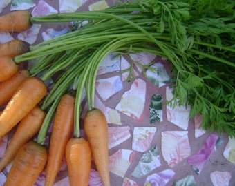 Carrot Seed Essential Oil