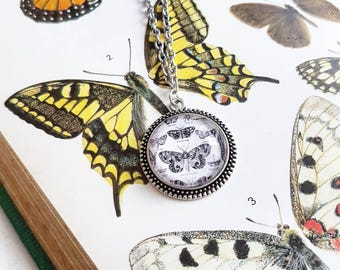 Butterfly Cameo Necklace // Butterfly Necklace // Butterfly Jewelry // Nature Necklace // Nature Jewelry // Insect Necklace // Nature Gift