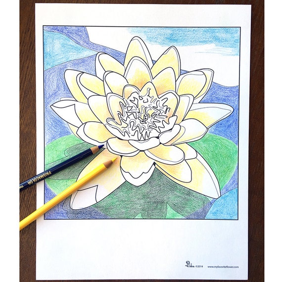 Items similar to flower coloring page, water lily coloring sheet