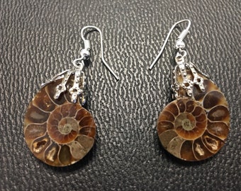 Ammonite Earrings on Sterling Silver wire
