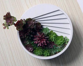 Concrete Architectural round Succulent Planter, Plant Pot, Flower Pot, Succulent pot, Cement planter, cement pot