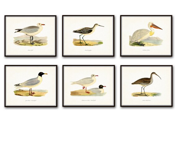 title | Coastal Birds And Flowers Wall Decor
title | Coastal Birds And Flowers Wall Decor