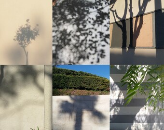 Shadow Trees 2, Photograph, Poster, Colorful, Architecture, Los Angeles, Popart, Art Print, Graphic, Collage, Street, Nature
