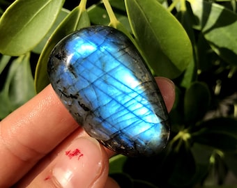 Labradorite Medium-Large Tumbled Semi Precious Palm Stone#119A