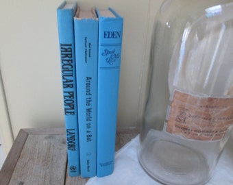 Shades of Light Blue Book Stack Book Bundle of Sky Blue Books Home Decor Bookshelf Decor Old Books Dark Blue Books Vintage Books