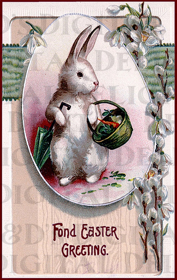 EASTER Bunny Ready For Rain. VINTAGE Easter Illustration.